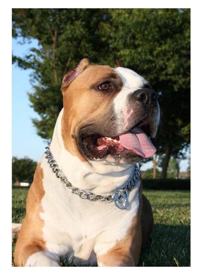 KsPups Heavy Duty Choke Cuban Chain I Dog Collar for Large Dogs, Strong Steel, Metal I Color Metal Links for Big Breeds I Rottweiler, Pitbull, Mastiff, Cane Corso, Doberman, Great Dane I (4mm 24Inch) - Image 4